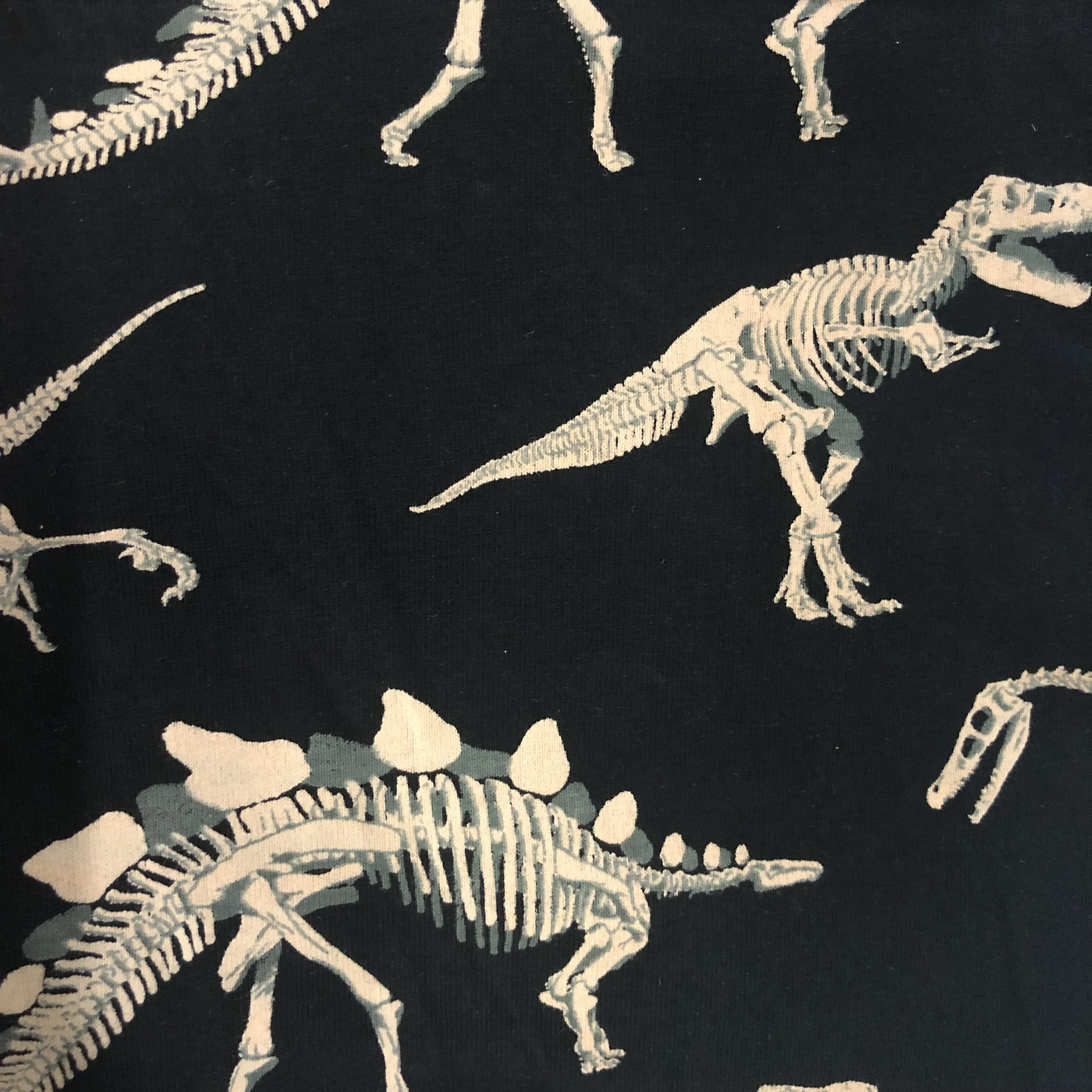 Dinosaur Fossils Rosalind Dress