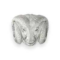 Ram Charm